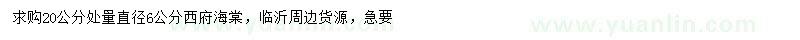 求購20公分處量直徑6公分西府海棠