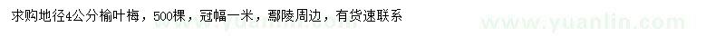 求購地徑4公分榆葉梅
