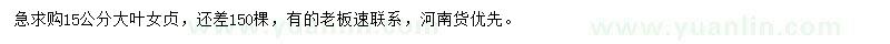 求購(gòu)15公分大葉女貞