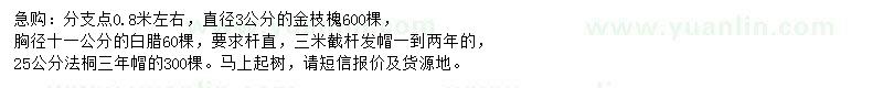求購金枝槐、白臘、法桐