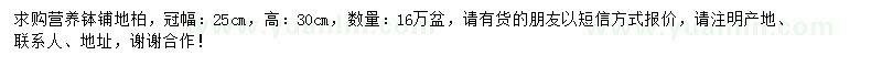 求購(gòu)冠25公分鋪地柏