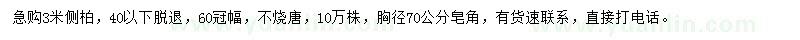 求購(gòu)3米側(cè)柏、胸徑70公分皂角