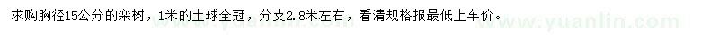 求購胸徑15公分欒樹