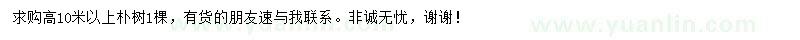 求購(gòu)高10米以上樸樹(shù)