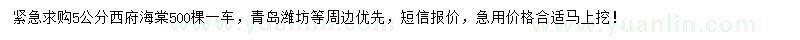 求購5公分西府海棠