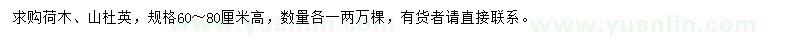 求購荷木、山杜英