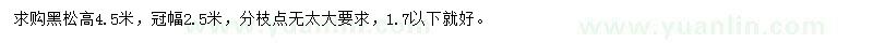 求購高4.5米黑松