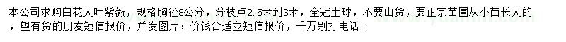 求購胸徑8公分白花大葉紫薇