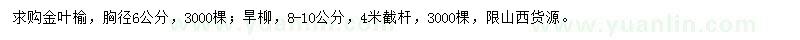 求購金葉榆、旱柳