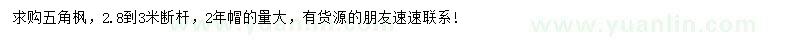 求購(gòu)五角楓