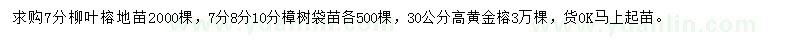 求購柳葉榕、樟樹、黃金榕