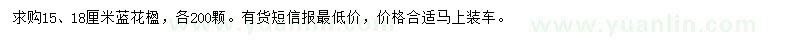 求購(gòu)15、18公分藍(lán)花楹