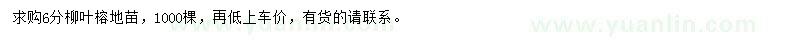 求購6公分柳葉榕地苗