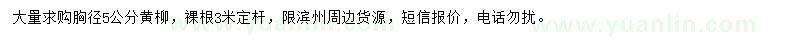 求購5公分黃柳