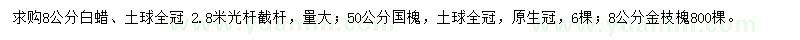 求購白蠟、國槐、金枝槐