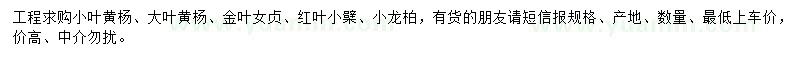 求購(gòu)小葉黃楊、大葉黃楊、金葉女貞等