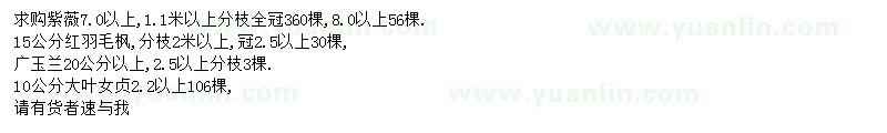 求購紫薇、紅羽毛楓、大葉女貞等