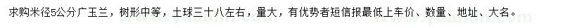 求購米徑5公分廣玉蘭