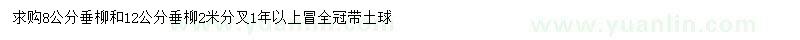 求購8、12公分垂柳