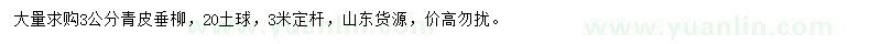 求購(gòu)3公分青皮垂柳