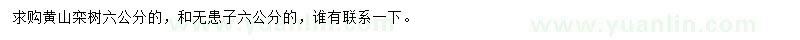 求購(gòu)6公分黃山欒樹和無(wú)患子