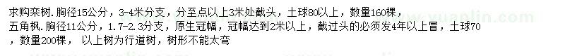 求購胸徑15公分欒樹、胸徑11公分五角楓