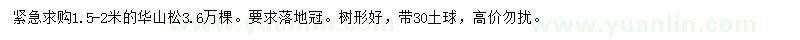 求購(gòu)1.5-2米華山松