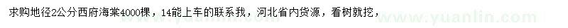 求購地徑2公分西府海棠