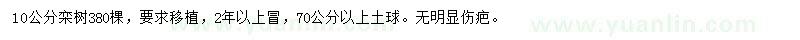 求購10公分欒樹