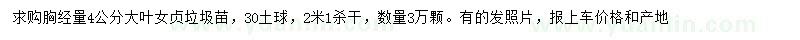 求購胸徑4公分大葉女貞垃圾苗