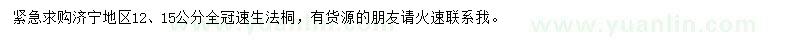 求購12、15公分速生法桐