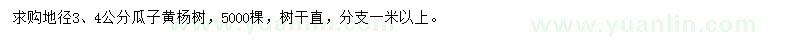 求購(gòu)地徑3、4公分瓜子黃楊樹