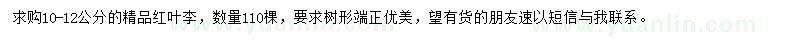 求購10-12公分紅葉李