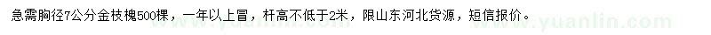 求購胸徑7公分金枝槐