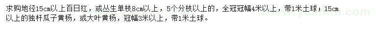求購百日紅、瓜子黃楊