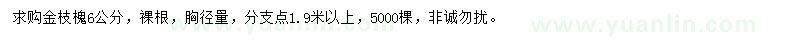 求購胸徑量6公分金枝槐