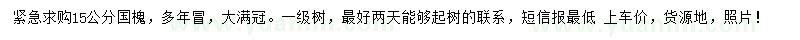 求購(gòu)15公分國(guó)槐