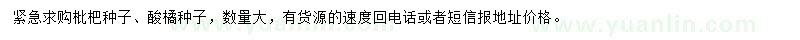求購(gòu)枇杷種子、酸橘種子