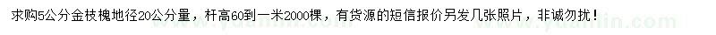 求購地徑20公分量5公分金枝槐