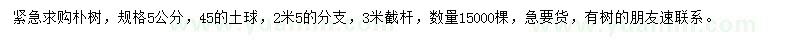 求購5公分樸樹
