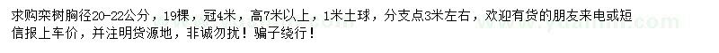 求購(gòu)胸徑20-22公分欒樹(shù)