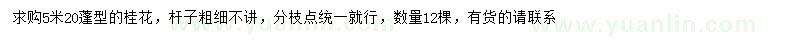 求購蓬型5.2米桂花樹