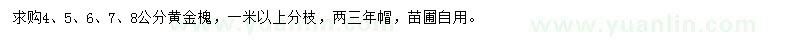 求購4-8公分黃金槐