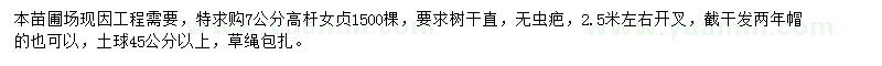 求購7公分高桿女貞