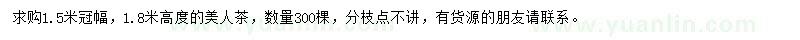 求購高1.8米美人茶
