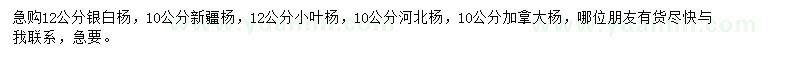 求購銀白楊、新疆楊、小葉楊等