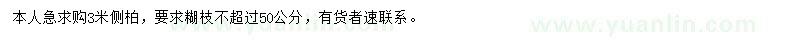 求購(gòu)3米側(cè)柏