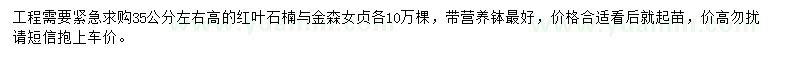 求購(gòu)高35公分左右紅葉石楠與金森女貞