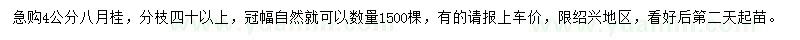 求購(gòu)4公分八月桂