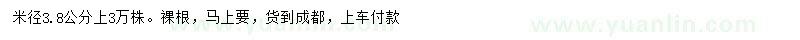 求購米徑4公分椿樹